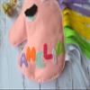 Personalized Unicorn Toy Pillow Rattle 3 in 1 Believe in Unicorns Nursery Decor Baby Girl Gift Personalised Baby Toys Stuffed Plushie Kids New Baby Gift Shower view 2