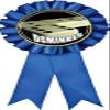 Dominoes Blue Rosette Ribbon, Dominoe Games Trophy Ribbon Award Prize, 5 Pack Prime view 1