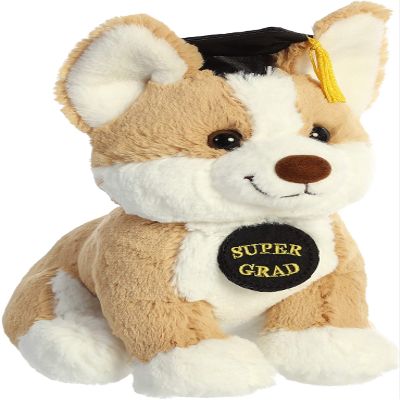 Aurora - Graduation - 9" Corg-Rats Corgi