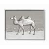 Stupell Industries Desert Camel Animal Gray Design Grey Framed Wall Art, Model Number: fda-150_GFF_16x20 view 1