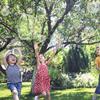 Big Bubble Wands Set Bubble Party Pack Bulk, Funny Bubble Toy Bubble Making Toys for Outdoor, Big Bubble Wands Bulk for All Age People Bubbles Party Favors Supplies view 4