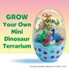 Creativity for Kids Mini Garden Dinosaur: Terrarium Kit for Kids - Dinosaur Crafts for Boys, Dinosaur Toy and Science Kit for Kids, Easter Basket Stuffers (Ages 6+) view 2