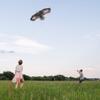 JEKOSEN Bald Eagle Huge Kite for Kids and Adults Single Line String Easy to Fly for Beach Trip Park Family Outdoor Games and Activities view 4