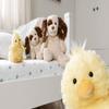 Steiff Handcrafted Since 1880 Premium Plush Soft Toy Stuffed Animal - 6" Pipsy Chick view 4