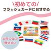 Shichida-Style Flag Card Recognize 180 Countries Flags with Cards! view 2