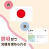Shichida-Style Flag Card Recognize 180 Countries Flags with Cards! view 3
