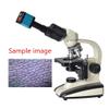 37MP 1080P 60FPS USB Microscope Camera Video HDMI Industry Microscope Camera with Conversion Adapter, 100-240V Digital Camera C Mount view 3