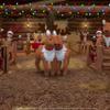 Elf Pets: Santa's Reindeer Rescue DVD view 3