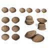 edxeducation Tactile Shells - Eco-Friendly - 36 Pieces, 6 Textures, 3 Sizes - Ages 18m+ - Sensory Play - Dough and Clay Toys view 1