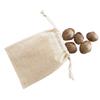 edxeducation Tactile Shells - Eco-Friendly - 36 Pieces, 6 Textures, 3 Sizes - Ages 18m+ - Sensory Play - Dough and Clay Toys view 3