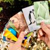 Hapinest Find and Seek Scavenger Hunt Card Game, Indoor Outdoor Activities for Kids Toddler & Family, Beach Camping Travel Car Games for Road Trips, Kids Scavenger Hunt Game Age 3 4 5 6 Years Old & Up view 4