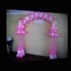 balloon arches view 1