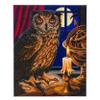 CRYSTAL ART Craft Buddy CAK-A99L The Astrologer Owl, 40x50cm Kit view 4