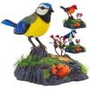 belupai Singing Chirping Birds, Realistic Sounds with Motion Sensor Activation Body Move Simulation Birds Pen Holders for Kids Electric Toys view 4