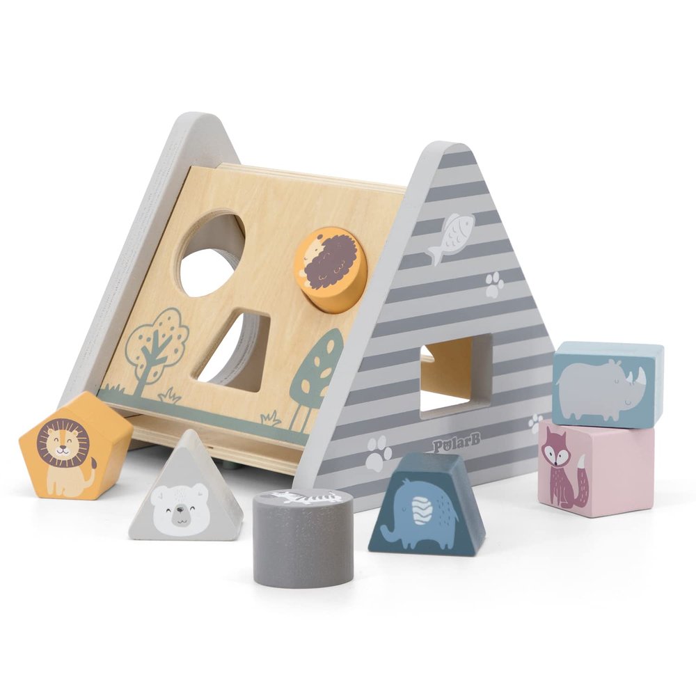 5-in-1 Activity Toy