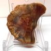 Rock Tumbler Gem Refill Kit - Swali Rose (Swazi) Agate Rough, Mozambique,Africa, 4 oz view 4
