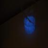 DIY Luminol Blue & Green Light Kit view 4