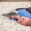 Stephen Joseph Lovie Flamin, Flamingo view 4
