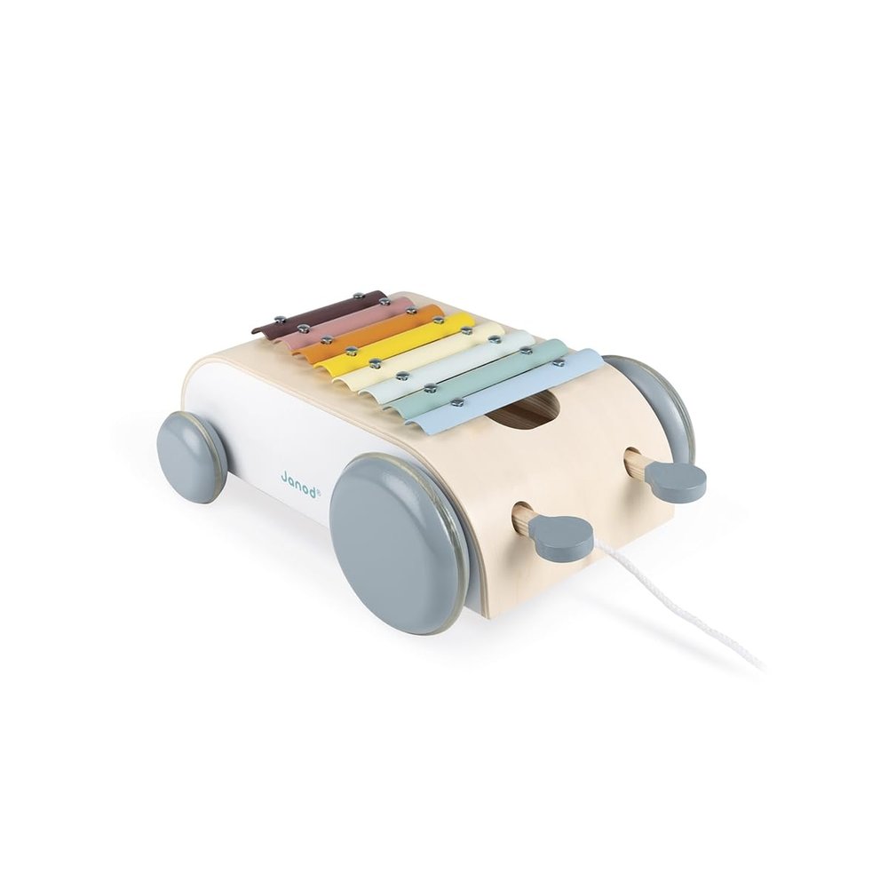Janod - 2-in-1 Sweet Cocoon Xylo Roller Walking and Musical Toy - Ages 18 Months+ - J04406