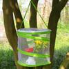 RESTCLOUD Pop-up Insect and Butterfly Habitat Cage Terrarium Clear Mesh Enclosure, See Through Easier 9" x 11" Tall view 2