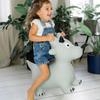 Kindsgut Bouncy Animal Hopper Dino for Children, Designed in Germany, Playful and Modern Colors, air Pump Included, Indoors and Outdoors view 2