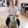 Kindsgut Bouncy Animal Hopper Dino for Children, Designed in Germany, Playful and Modern Colors, air Pump Included, Indoors and Outdoors view 4