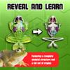 Top Secret Toys Dissect It Kit for Kids, Synthetic Dissection Kids Science Kit to Learn Animal Anatomy, Biology, STEM Frog Toys, Ages 6 and Above view 4