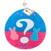 19" Tall Easter Egg Pinata for Easter Gender Reveal Party What will our Bunny Be? Easter Party Supplies Easter Baby Shower He or She Boy or Girl view 1