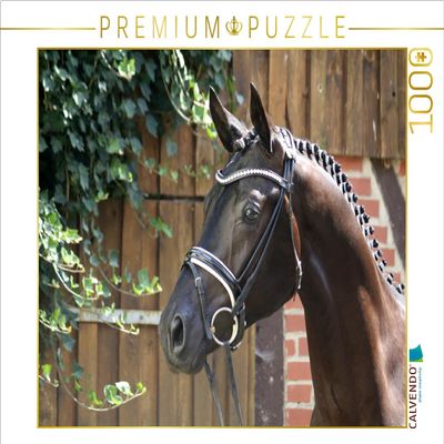 CALVENDO Puzzle The Trakehner. High Nobility from East Prussia 1000 Pieces 64 x 48 cm from Monique Diesselhorst