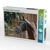 CALVENDO Puzzle The Trakehner. High Nobility from East Prussia 1000 Pieces 64 x 48 cm from Monique Diesselhorst view 4