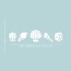 5 Pieces of Vinyl Wall Art Decal - Seashell Set - from 8" x 8" Each - Minimal Cute Adhesive Stickers Shell Design for Home Bedroom Bathroom Kids Room Living Room Store Sea Decor (White) view 3