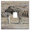 Switch Plate Single Toggle - Zebras Safari Etosha National Park Animals Dam view 1
