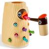 TOP BRIGHT Montessori Toys for 2 Year Old Girl and Boy, Fine Motor Skills Toddler Toys Age 2-4, Woodpecker Worm Toy Magnetic Bird Feeding Game view 1
