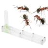 Ant Breeding Box, Acrylic Ant Breeding Nest Ant Farm House Ant Display Box with Water Tower, Moisturizing, with 1Pcs Dropper, 1Pcs Clamp, 1Pcs Glass Bottle(Transparent) view 1