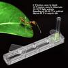 Ant Breeding Box, Acrylic Ant Breeding Nest Ant Farm House Ant Display Box with Water Tower, Moisturizing, with 1Pcs Dropper, 1Pcs Clamp, 1Pcs Glass Bottle(Transparent) view 3