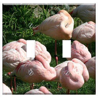 Switch Plate Double Toggle - Flamingo Sleep Deprivation Sleeping Sleep Zoo