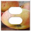 Switch Plate Outlet Cover - Apple Bio Apple Bio Fruit Healthy Food Frisch view 1