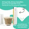 Clearwater Butterfly Live Painted Lady Butterflies - 33 Live Caterpillars Kit - Live Caterpillars to Butterflies - Classroom/School Kit & Habitat - (Suitable for All Ages) view 3