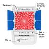 100 PICS Optical Illusions - Perfect Stocking Stuffer for Teens and Kids |100 Mind-Blowing Illusions | Contains 50 Cards in a Slide Reveal case | Ideal Gift for Travel view 2