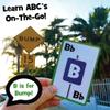 Briarpatch | Automobile Alphabet Travel Card Game, Ages 3+ view 4