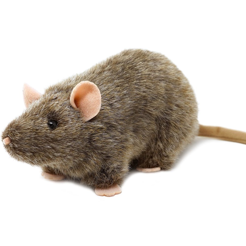 TigerHart Reuben The Rat - 7 Inch Stuffed Animal Plush Mouse