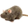 TigerHart Reuben The Rat - 7 Inch Stuffed Animal Plush Mouse view 1