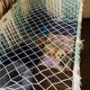 JHKJ Pet Climbing Net, Nylon Climbing Climb Net, Rope Cargo Netting, Large for Kids Adult Rock Playground Net, Outdoor Safe Nets,1x 3m3.3 * 10ft view 3