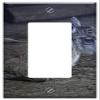 Switch Plate Single Rocker/GFCI - Capricorn Capricorn Baby Young Animal Lying Mammal view 1