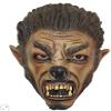 Wolf Jr. Mask Brown view 1