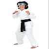 Child Daniel San Costume | Officially Licensed Outfit for Halloween, Cosplay - Shirt, Pants, Belt, Headband Large Bundle view 1