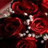 SUMAG The Bouquet Rose 9 Flowers Magic Tricks Blooming Bouquet for Lover Stage Wedding Party Stage Illusions Comedy Mentalism Funny view 1