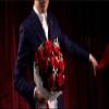 SUMAG The Bouquet Rose 9 Flowers Magic Tricks Blooming Bouquet for Lover Stage Wedding Party Stage Illusions Comedy Mentalism Funny view 2