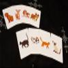 Animal Card by Tejinaya by Tejinaya Magic - Trick view 3