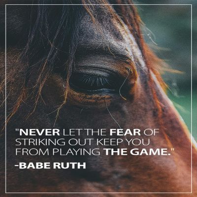 MP Printing Babe Ruth- Featuring a Quote from a Professional Baseball Player: Never Let The Fear of Striking Out Keep You from Playing The Game (Brown, 11" x 17")